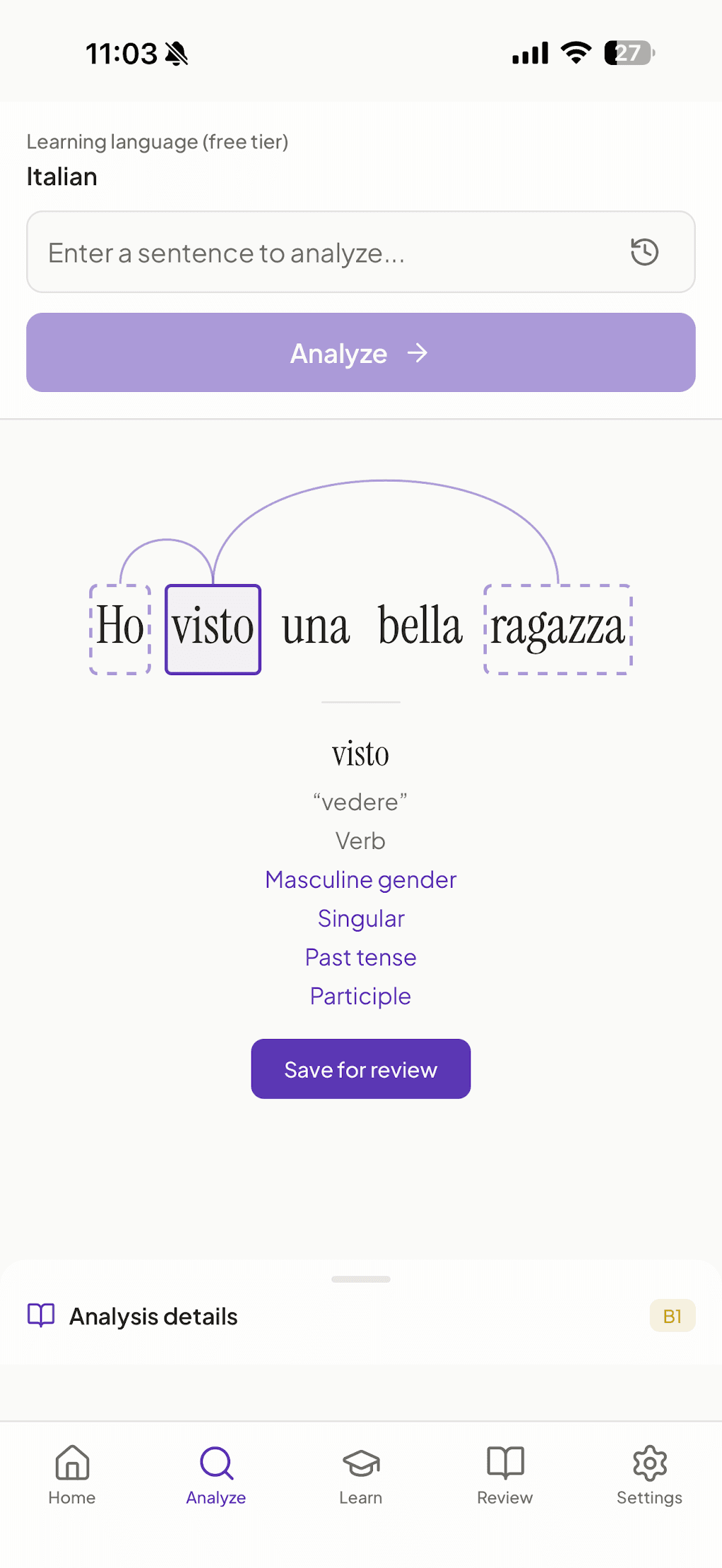 Grammario mobile app screenshot